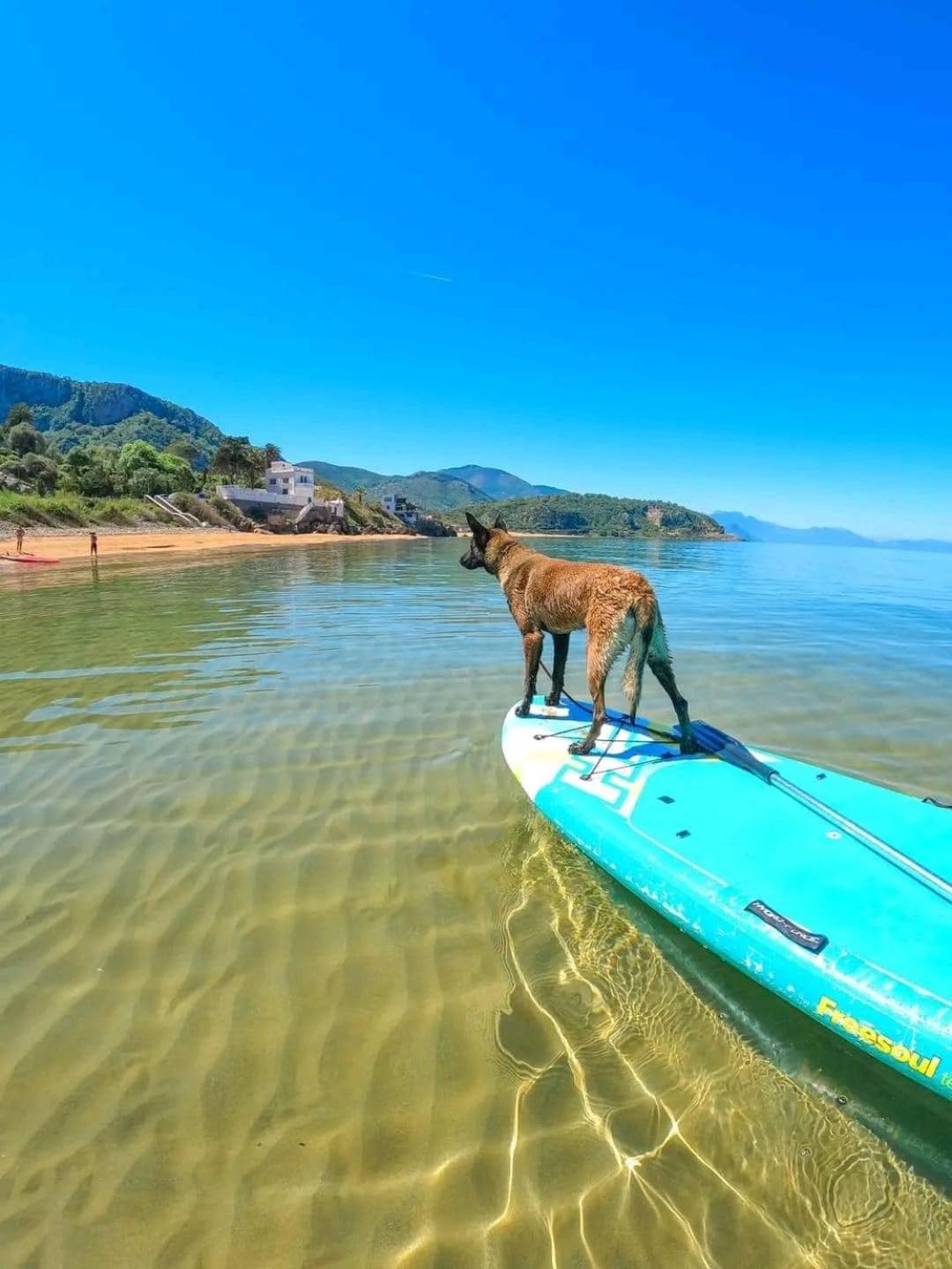 Hotel plage d'or Jijel Buitenkant foto